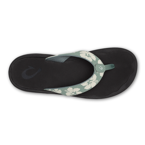 ‘Ohana  -  Silver Pine / Pua